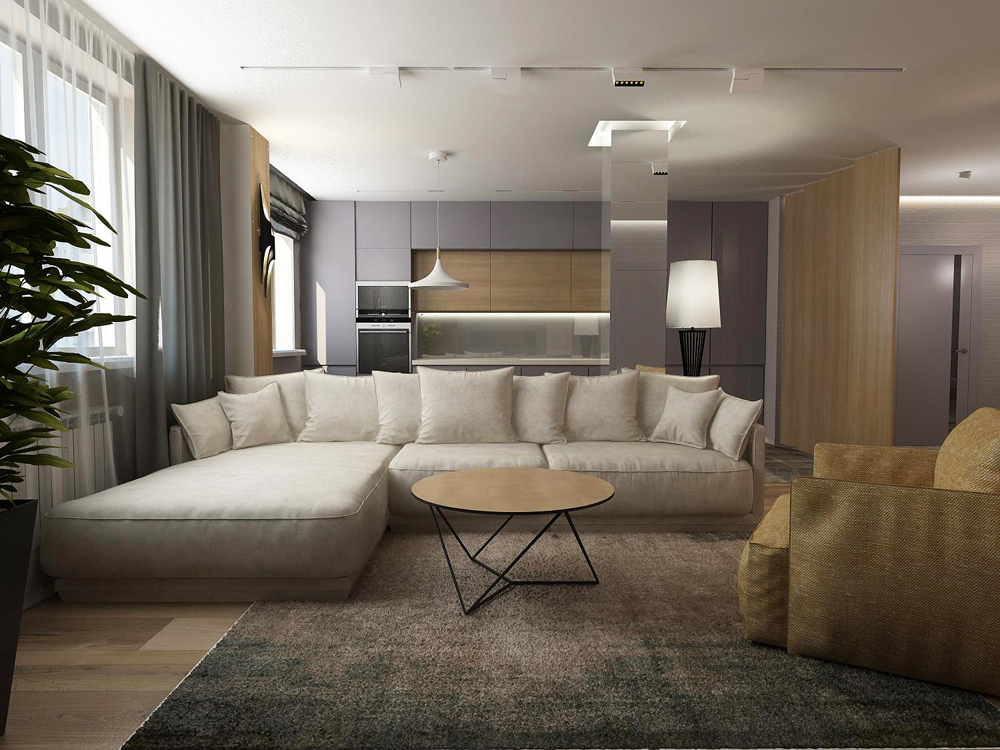Design projects of luxury apartments